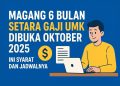 Magang 6 Bulan Setara Gaji UMK Dibuka Oktober 2025, Ini Syarat dan Jadwalnya