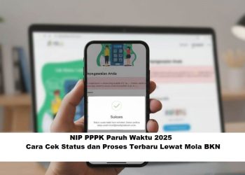 NIP PPPK Paruh Waktu 2025: Cara Cek Status dan Proses Terbaru Lewat Mola BKN