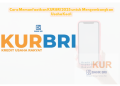 Cara Memanfaatkan KUR BRI 2025 untuk Mengembangkan Usaha Kecil