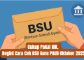 Cukup Pakai NIK, Begini Cara Cek BSU Guru PAUD Oktober 2025