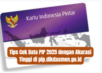 Tips Cek Data PIP 2025 dengan Akurasi Tinggi di pip.dikdasmen.go.id