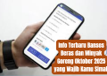 Info Terbaru Bansos Beras dan Minyak Goreng Oktober 2025 yang Wajib Kamu Simak