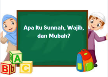 Apa Itu Sunnah, Wajib, dan Mubah?