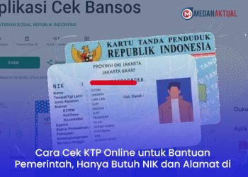Cara Cek KTP Online untuk Bantuan Pemerintah, Hanya Butuh NIK dan Alamat di Medan