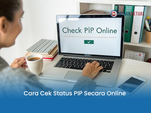Cara Cek Status PIP Secara Online