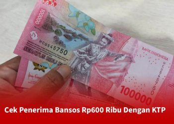 Cek Penerima Bansos Rp600 Ribu Dengan KTP