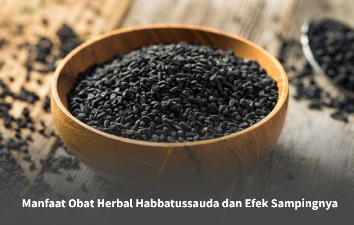 Habbatussauda : Herbal Yang Sering Dijadikan Obat