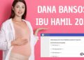 Ibu Hamil Bisa Dapat Bansos Rp750 Ribu, Begini Cara Ceknya Pakai KTP.