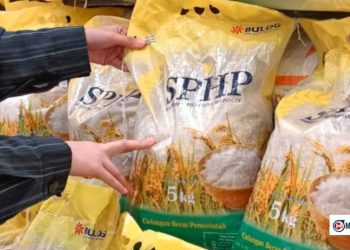 Bansos-SPHP Berhasil? Harga Beras Disebut Mulai Turun