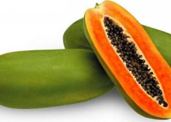 7 Manfaat Buah Pepaya Pada Tubuh Kita