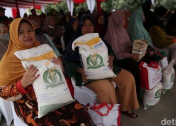 Bansos Beras 20 Kg Akan Cair Pada Bulan November
