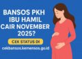 Bansos PKH Ibu Hamil Cair November 2025 Cek Status di cekbansos.kemensos.go.id