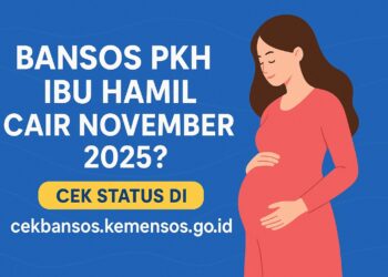 Bansos PKH Ibu Hamil Cair November 2025 Cek Status di cekbansos.kemensos.go.id