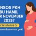 Bansos PKH Ibu Hamil Cair November 2025 Cek Status di cekbansos.kemensos.go.id