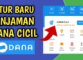DANA Cicil: Cara Ajukan Pinjaman Di Aplikasi DANA, Simak Cara Berikut!