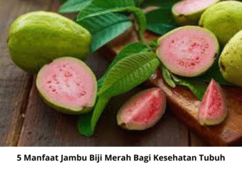 5 Manfaat Jambu Biji Merah Bagi Kesehatan Tubuh