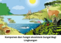 Komponen dan Fungsi ekosistem Sungai Bagi Lingkungan