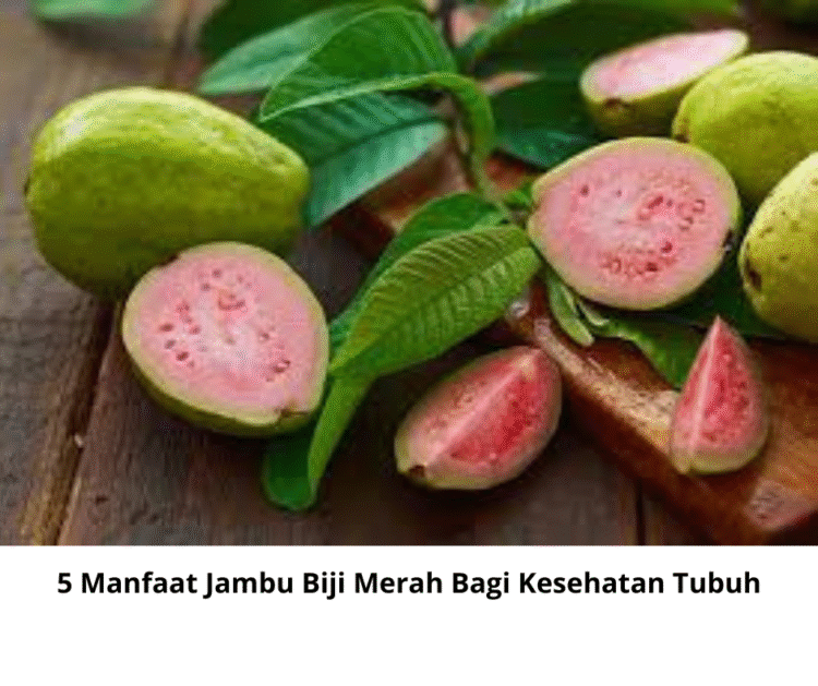 5 Manfaat Jambu Biji Merah Bagi Kesehatan Tubuh