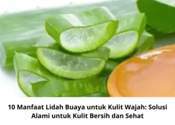 10 Manfaat Lidah Buaya untuk Kulit Wajah: Solusi Alami untuk Kulit Bersih dan Sehat