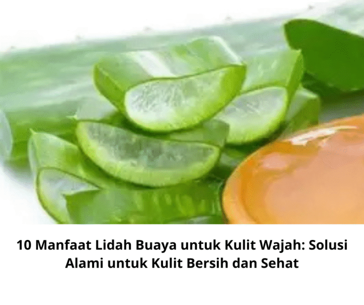 10 Manfaat Lidah Buaya untuk Kulit Wajah: Solusi Alami untuk Kulit Bersih dan Sehat