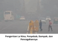 Pengertian La Nina Penyebab, Dampak, dan Pencegahannya