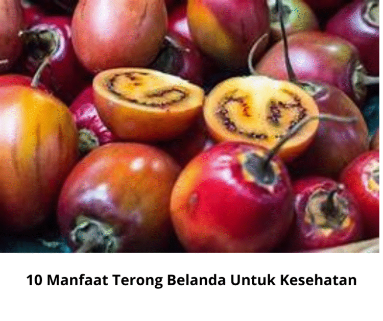 10 Manfaat Terong Belanda Untuk Kesehatan