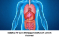 Ketahui 10 Cara Menjaga Kesehatan Sistem Ekskresi