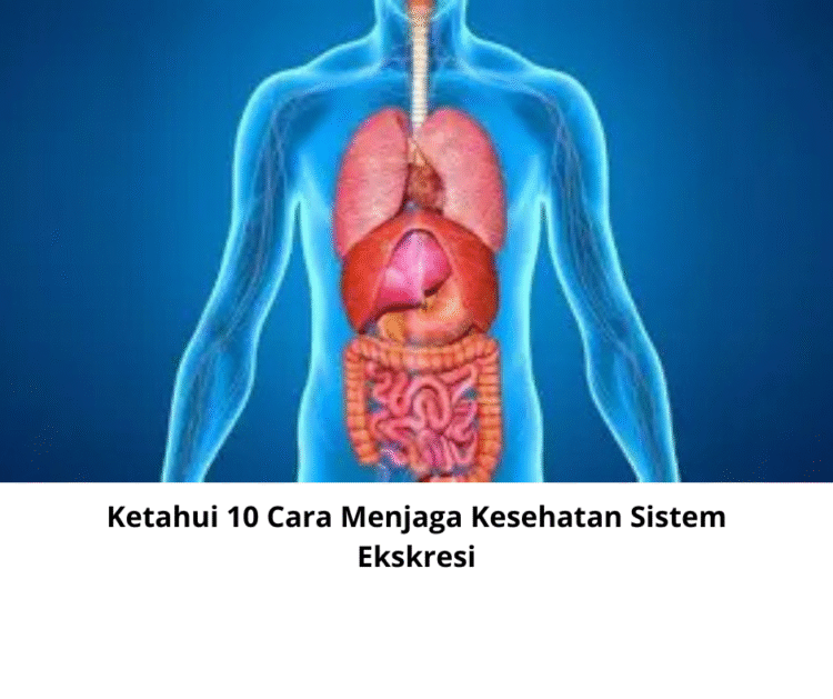 Ketahui 10 Cara Menjaga Kesehatan Sistem Ekskresi