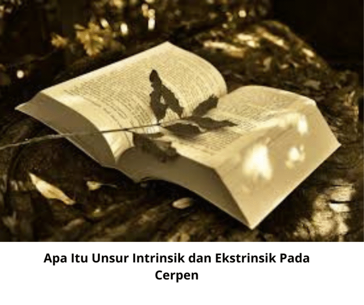 Apa Itu Unsur Intrinsik dan Ekstrinsik Pada Cerpen