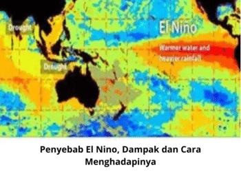 Penyebab El Nino, Dampak dan Cara Menghadapinya