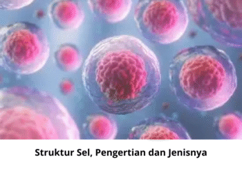 Struktur Sel, Pengertian dan Jenisnya