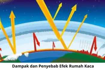 Dampak dan Penyebab Efek Rumah Kaca