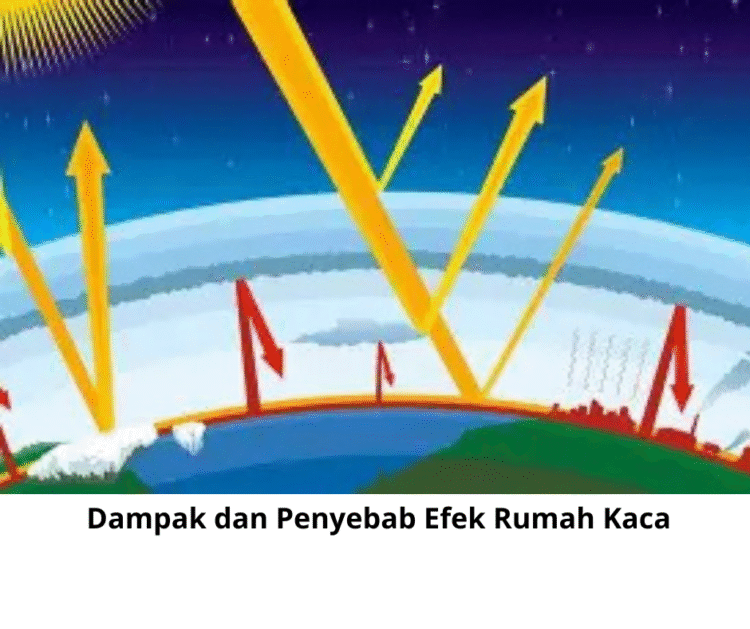Dampak dan Penyebab Efek Rumah Kaca