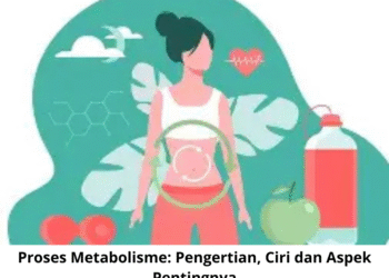 Proses Metabolisme: Pengertian, Ciri dan Aspek Pentingnya