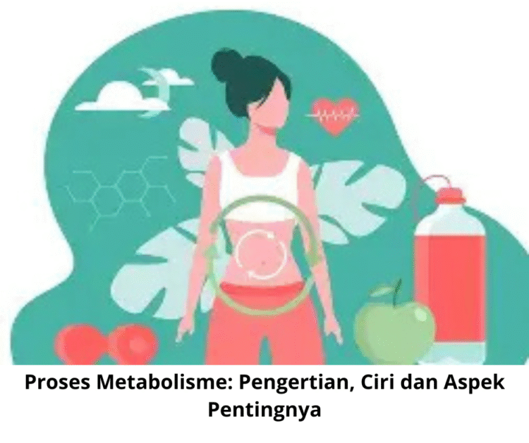 Proses Metabolisme: Pengertian, Ciri dan Aspek Pentingnya
