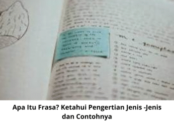 Apa Itu Frasa? Ketahui Pengertian Jenis -Jenis dan Contohnya