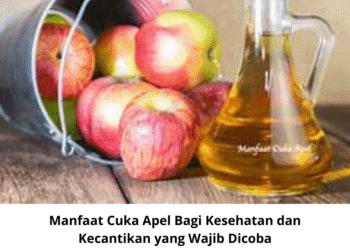 Manfaat Cuka Apel Bagi Kesehatan dan Kecantikan yang Wajib Dicoba