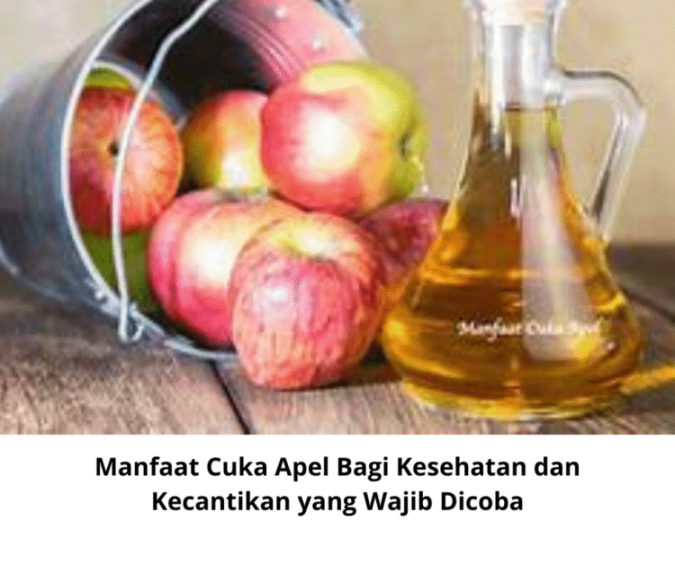 Manfaat Cuka Apel Bagi Kesehatan dan Kecantikan yang Wajib Dicoba