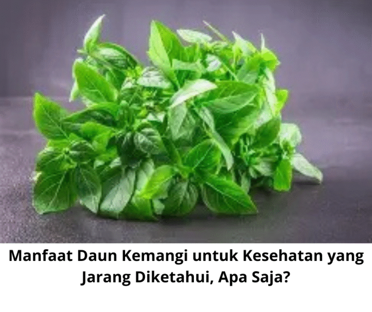 Manfaat Daun Kemangi untuk Kesehatan yang Jarang Diketahui, Apa Saja?