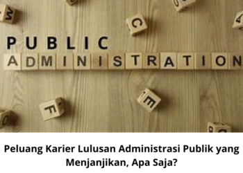 Peluang Karier Lulusan Administrasi Publik yang Menjanjikan, Apa Saja?