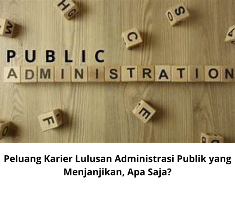 Peluang Karier Lulusan Administrasi Publik yang Menjanjikan, Apa Saja?