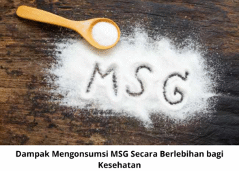 Dampak Mengonsumsi MSG Secara Berlebihan bagi Kesehatan