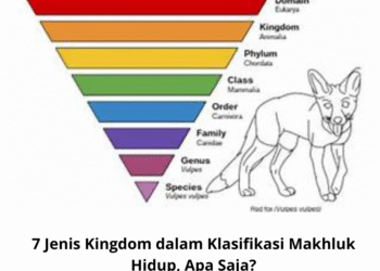 7 Jenis Kingdom dalam Klasifikasi Makhluk Hidup, Apa Saja?