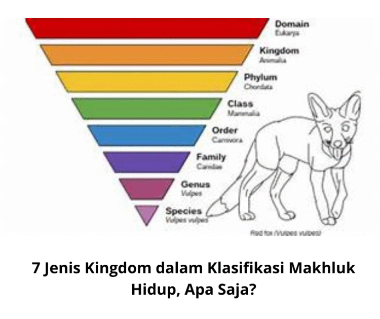 7 Jenis Kingdom dalam Klasifikasi Makhluk Hidup, Apa Saja?