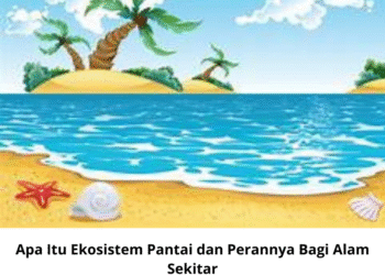 Apa Itu Ekosistem Pantai dan Perannya Bagi Alam Sekitar