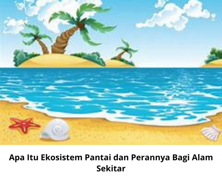 Apa Itu Ekosistem Pantai dan Perannya Bagi Alam Sekitar