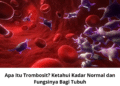 Apa Itu Trombosit? Ketahui Kadar Normal dan Fungsinya Bagi Tubuh