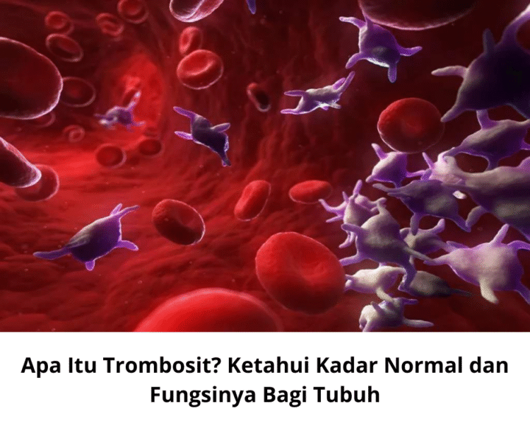 Apa Itu Trombosit? Ketahui Kadar Normal dan Fungsinya Bagi Tubuh