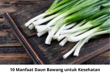 10 Manfaat Daun Bawang untuk Kesehatan