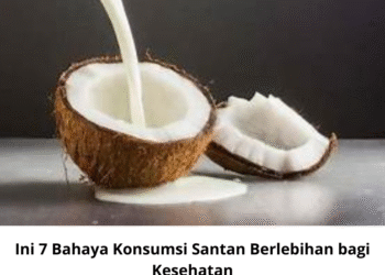 Ini 7 Bahaya Konsumsi Santan Berlebihan bagi Kesehatan